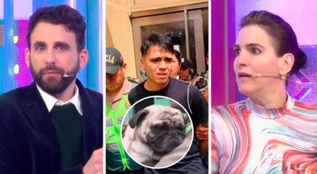 Rodrigo González y Gigi Mitre hablaron sobre la sentencia a agresor de perrito "Asap".