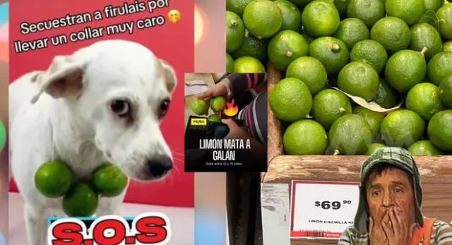 El precio del limón está por las nubes: Estos son los mejores memes que arrasan en las redes sociales.