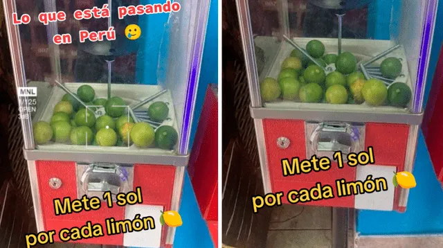 Un peruano tuvo la creativa forma de ofrecer limones y video es viral en TikTok.