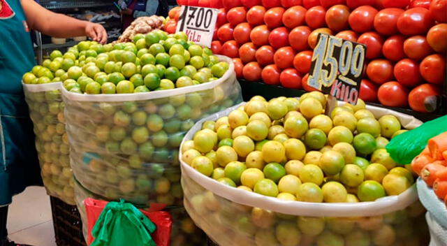 Limones aún mantienen alto el precio, aunque con ligero descenso.