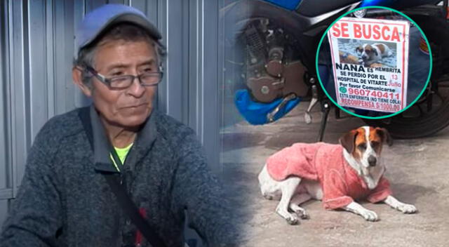 Hombre de la tercera edad pide ayuda para ubicar a su mascota que se perdió en Ate Vitarte.