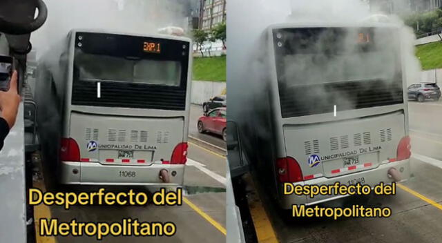 Imágenes del incendio en el bus del Metropolitano fueron viralizados por las redes sociales.