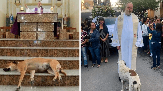 Un sacerdote brasileño se volvió viral al ofrecer durante misa la adopción de los canes que recorren la iglesia.