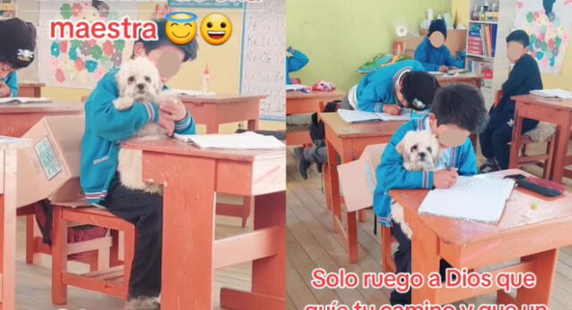 Profesora peruana permite que su alumno asista a clases con su perrito y causa ternura.