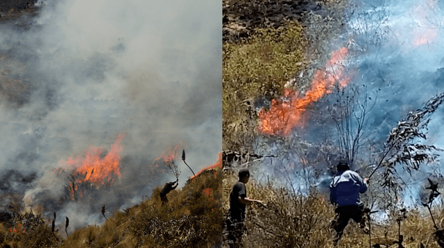 Incendio forestal en la región de Piura lleva 3 días.