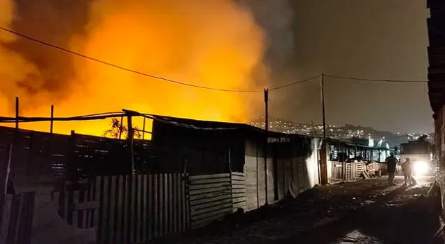 Ventanilla: incendio consume terreno forestal en la zona de los carrizales