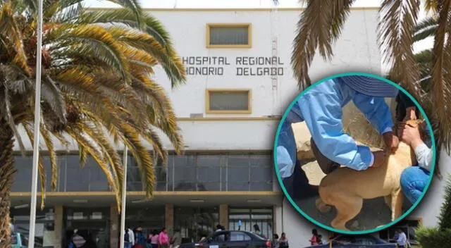 Mujer que se infectó de rabia humana perdió la vida en el Hospital Honorio Delgado de Arequipa.