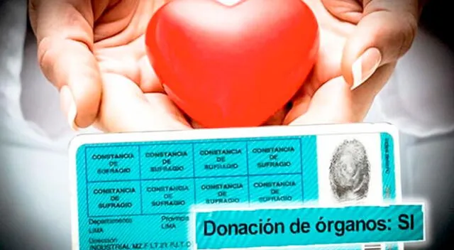 Los donantes de órganos en el Perú contarán con beneficios. AQUÍ los detalles.