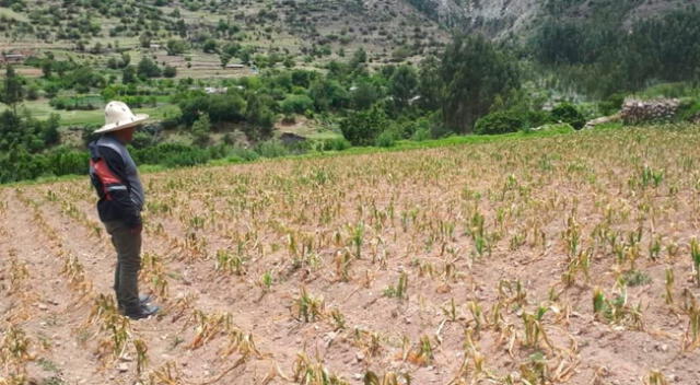 9 regiones del Perú se verían afectadas por la escasez de agua.