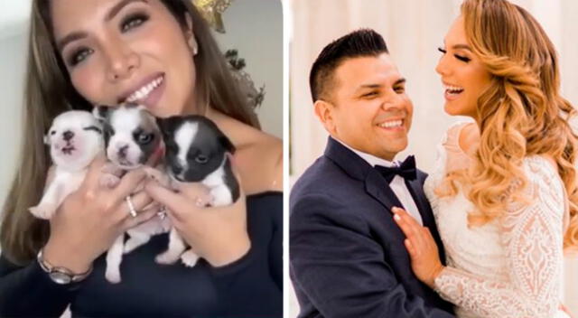 ¡Isabel Acevedo y Rodney Rodríguez agrandaron la familia! Chabelita contó por qué adoptaron tres perritos.