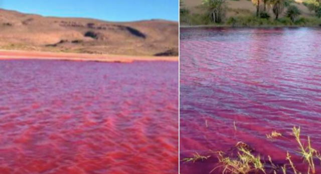 ¡Completamente rojo! Así amanecieron las aguas del río Nilo.