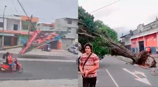 Pobladores de Iquitos sintieron los fuertes vientos. Senamhi se pronunció ayer sobre el fenómeno climatológico.