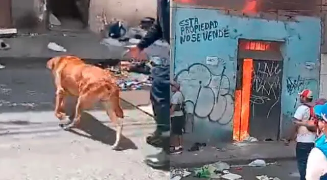 Incendio en el Cercado de Lima afectó a tres inmuebles y paradero del perro es aún desconocido.