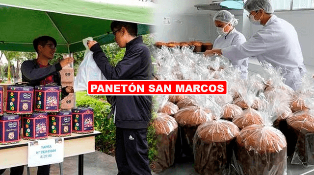 Conoce los detalles más importantes del panetón de la Universidad San Marcos.