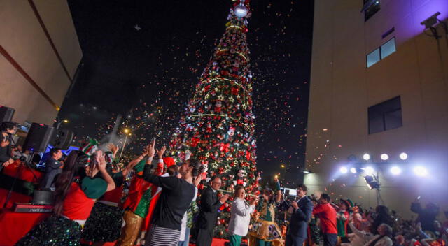 Árbol de Navidad es encendido en el INSN de San Borja.