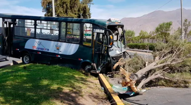 Arequipa. Chofer de un bus huía de un primer choque y termina estrellándose contra un árbol.