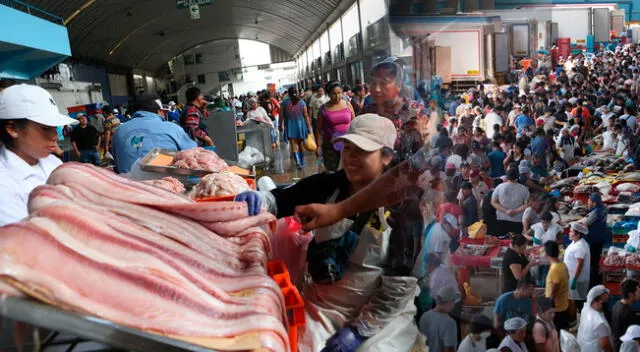 Conoce los precios de pescado del terminal Pesquero del Callao.