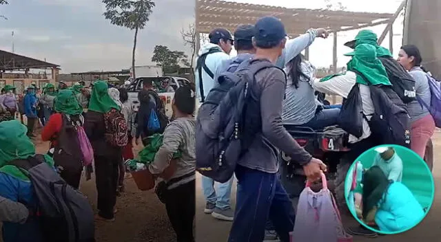 Trabajadores de agrícolas se desmayan y sufren ataques de pánico en La Libertad.