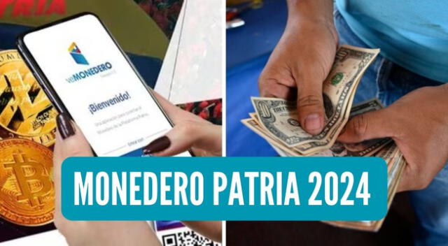 La aplicación de Monedero Patria es una de las plataformas más descargadas en Venezuela.