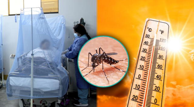 Golpe de calor sería agravaría la condición de un paciente con dengue en Perú.