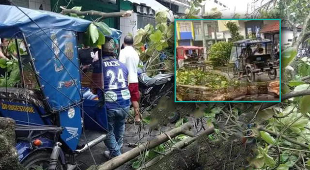 Árbol cayó sobre mototaxi y dejó gravemente herido al conductor en Iquitos.