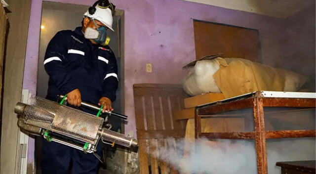 Trabajos de fumigación en viviendas para evitar el dengue.