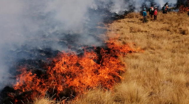 Incendio forestal en dos distritos de Lambayeque.