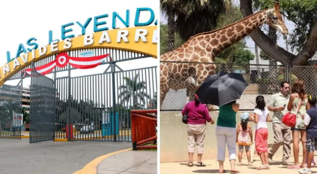 El Parque de las Leyendas se ubica en el distrito de San Miguel y está abierto de lunes a domingos.