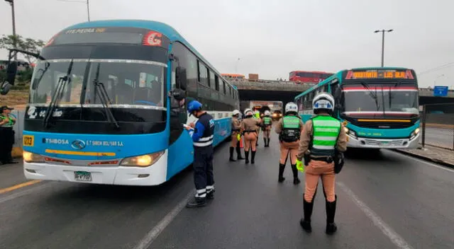 Buses de transporte público cometieron infracciones y fueron detenidos por la PNP.