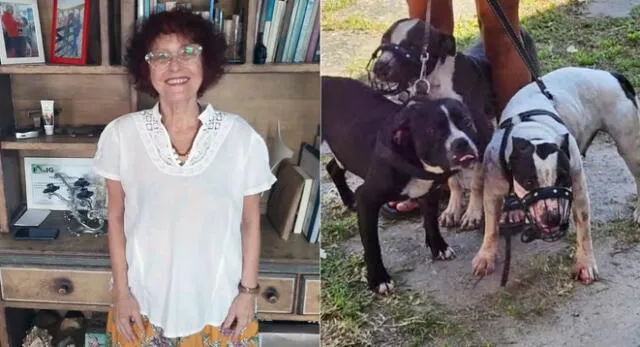 Mujer de 73 años es atacada por al menos tres perros pitbull durante su paseo matutino en Brasil.
