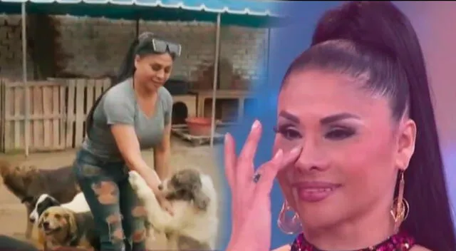 Yolanda Medina rompe en llanto al hablar de su albergue para perros.