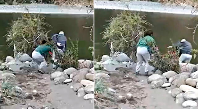 Una mujer fue captada en video mientras empujaba a un adulto mayor a un río en el sector Pejerrey de Linares, Chile.