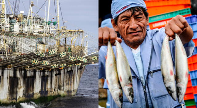 Embarcación china ingresó al país y pescó ilegalmente dentro del mar peruano.