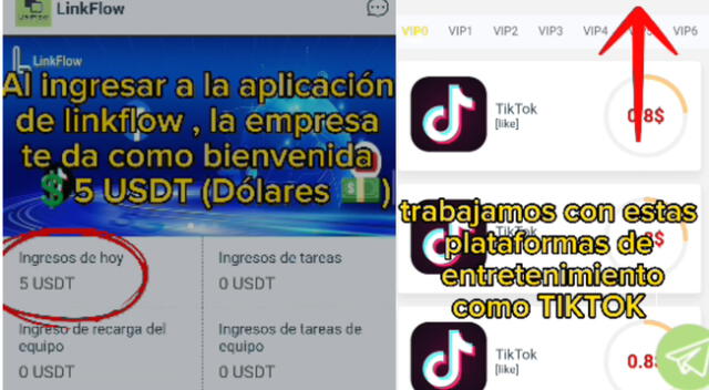 Con la caída de Link Flow, cientos de peruanos han perdido una gran cantidad de dinero.