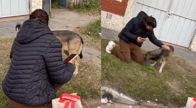Escena de la mujer y su perro se hizo viral en las redes sociales.