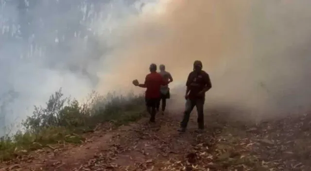 El incendio forestal ha consumido gran extensión de terrenos en Pasco.