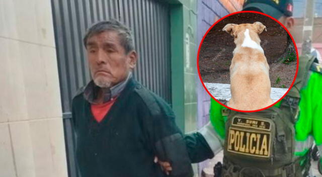 Reciclador fue detenido por agentes de la comisaría El Porvenir, ubicado en Miraflores, Arequipa.