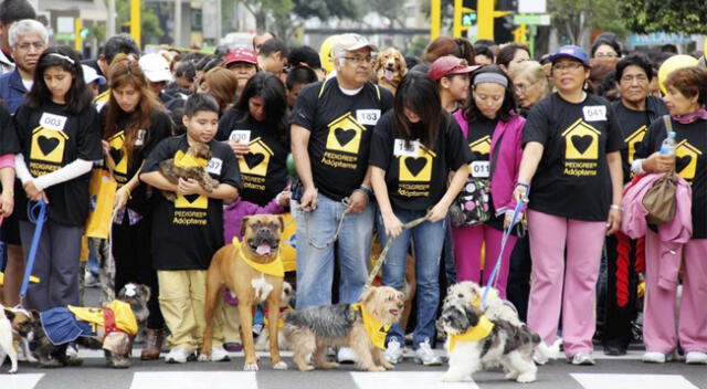 Caminata Huellas 4K busca solidaridad hacia las mascotas