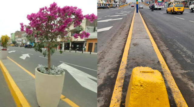 Obra de renovación de av. Perú se inauguró el pasado 1 de julio en San Martín de Porres.