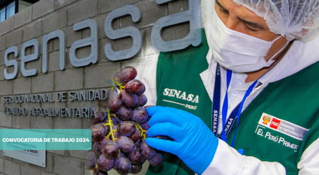 Senasa abre convocatoria laboral CAS para este 2024.