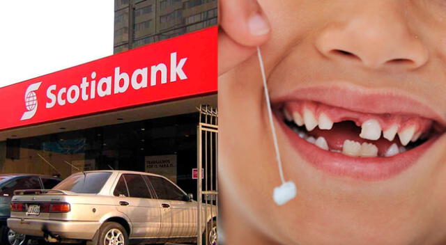 Campaña diente de leche fue abierto por Scotiabank del 15 al 31 de agosto.