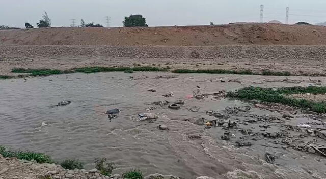 Cadáver del hombre quedó atrapado en esta parte del río Chillón.