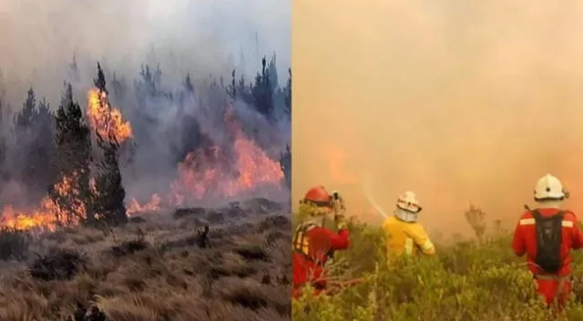 El Gobierno anunció que alrededor de 3500 efectivos de las FF. AA. han sido enviados a diversos puntos del país para sofocar focos del fuego.