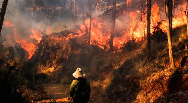 Incendios forestales en La Libertad vienen afectando a la flora y fauna del ande liberteño.