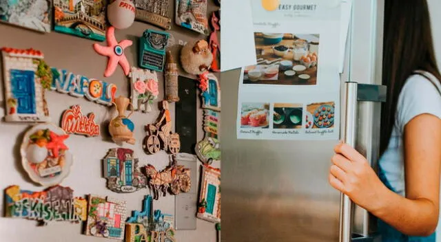 Conoce detalles del mito de los imanes en el refrigerador.