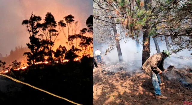 Incendio forestal afecta poblados, flora y fauna de Lambayeque. Autoridades piden la declaratoria del estado de emergencia.