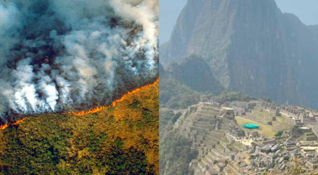 Conoce la situación de los incendios forestales en el Amazonas.