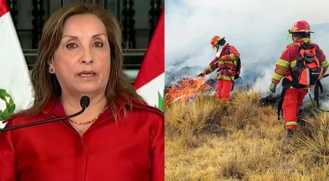 La presidentan Dina Boluarte tuvo un polémico mensaje durante su presentación.