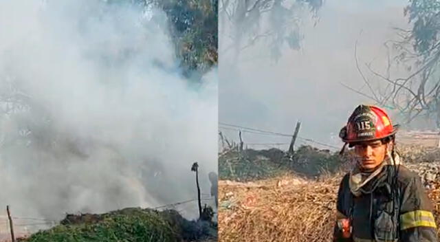 Causas del incendio forestal en Chaclacayo es investigado por la Policía.