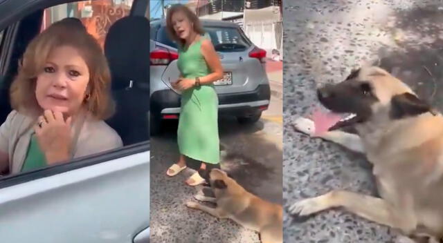 Perrito estaba sangrando en sus patas al ser arrastrado salvajemente por la mujer.